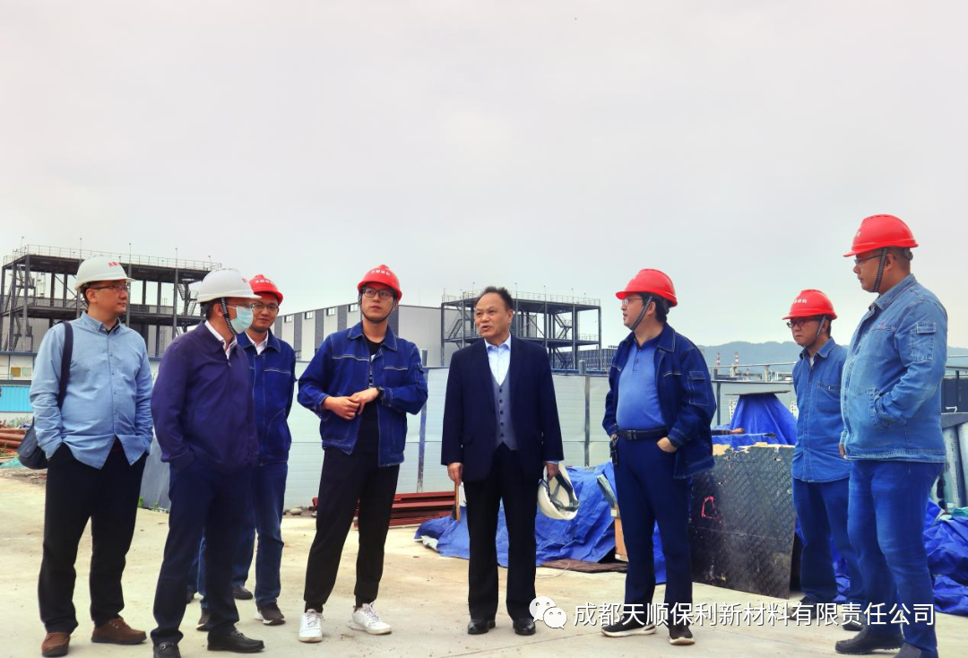 董事长蹇锡高院士到公司考察项目建设工作