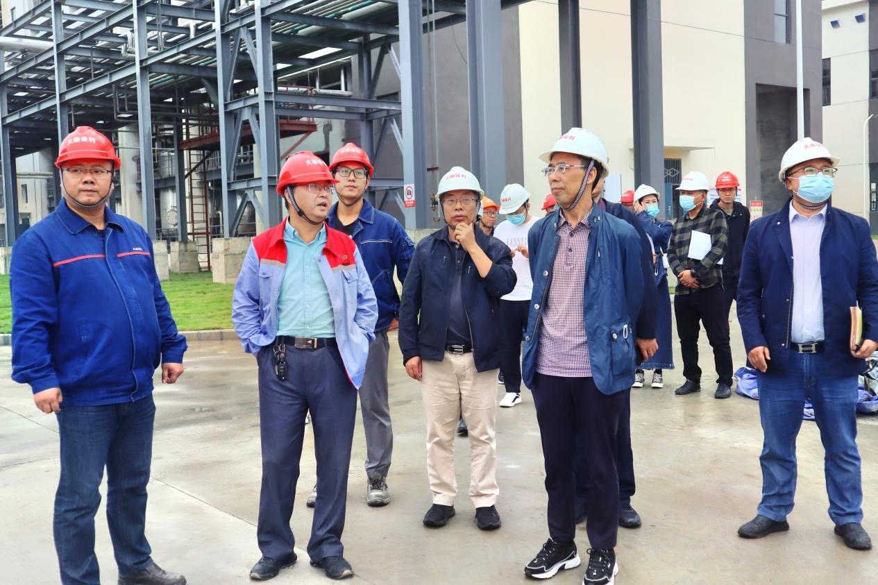 年产2500吨新型杂环高性能工程塑料项目（一期）试生产方案顺利通过专家评审