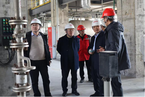 蹇锡高院士莅临公司开展技术指导